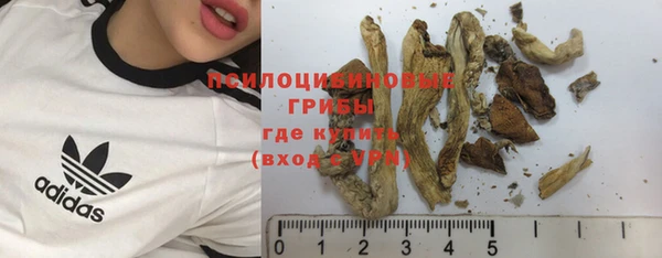 spice Алексеевка
